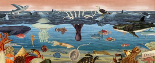 Children's book : Ocean